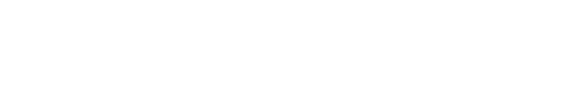 Consultoria Leader 
